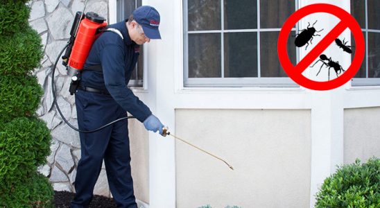 Saruhanlı Kemirgen İlaçlama böcek ilaçlama ve haşere kontrolü — ilaclama-tr.com